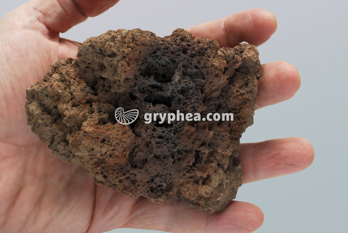 Pouzzolane - gryphea.org